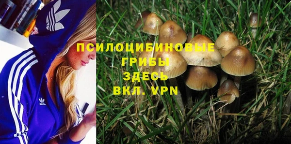 трава Нягань