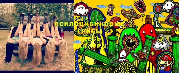 spice Нязепетровск