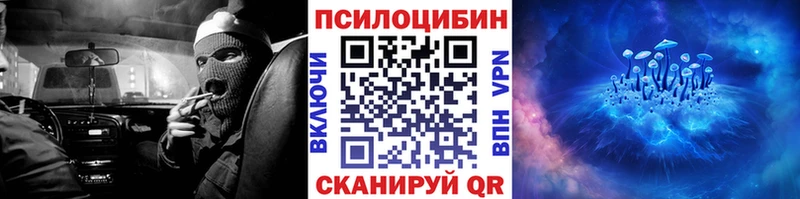 сколько стоит Дубовка Галлюциногенные грибы GOLDEN TEACHER